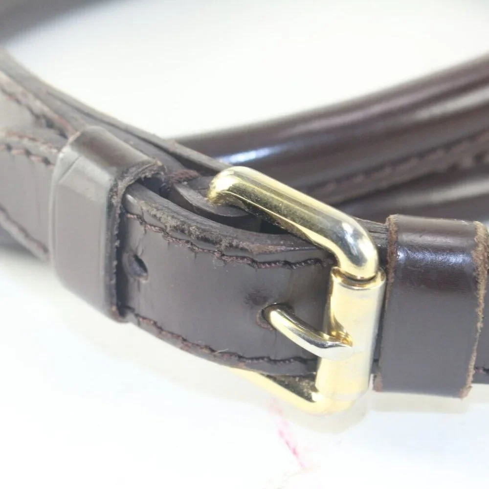 Louis Vuitton Damier Ebene Trevi PM 2way 3LV105K